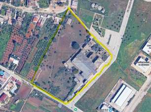 Vendita Multivani, Castelvetrano