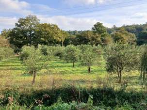 Vendita Altri immobili, Gavorrano Vendita Altri immobili, Gavorrano