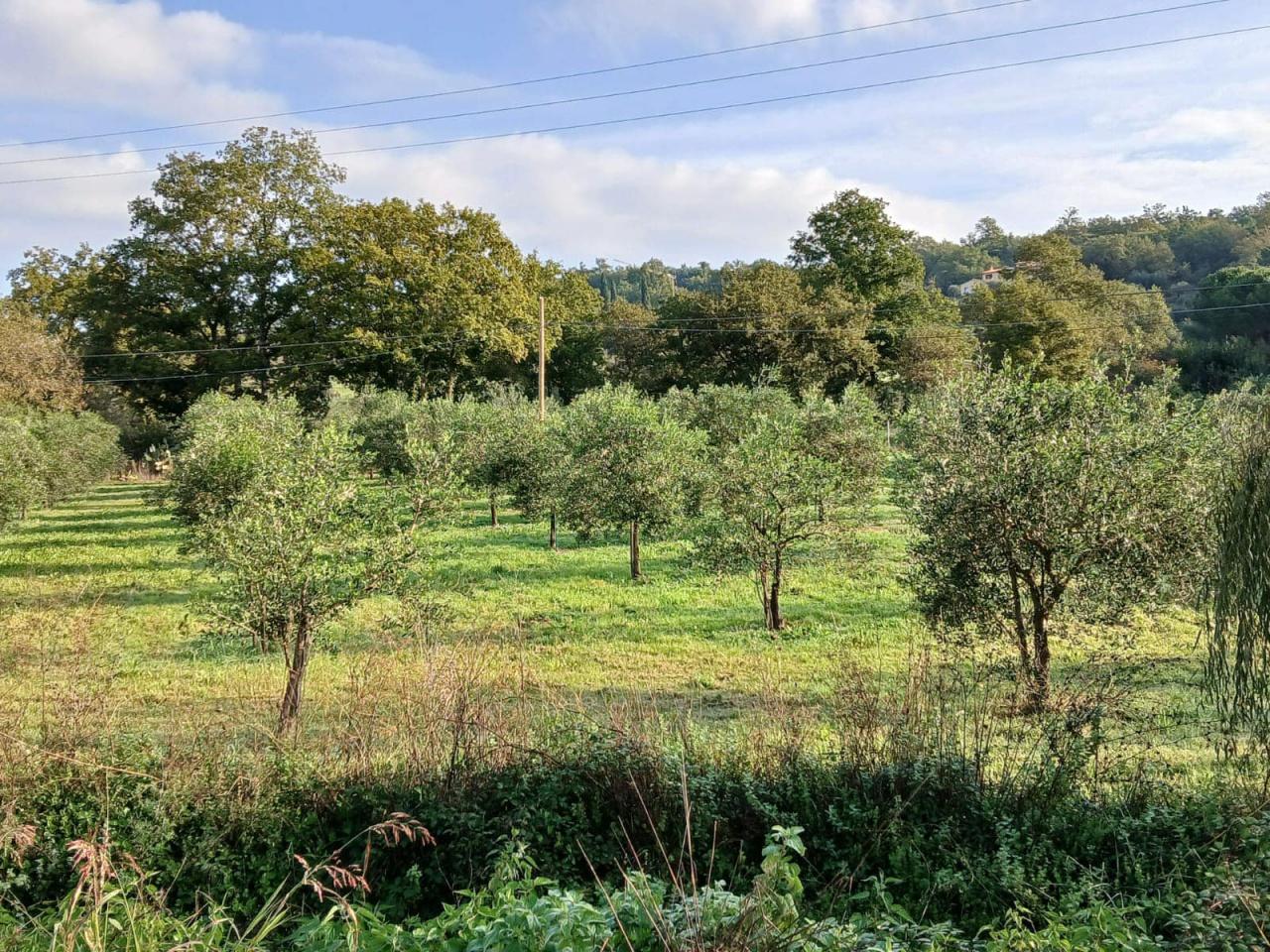 Vendita Altri immobili, Gavorrano foto