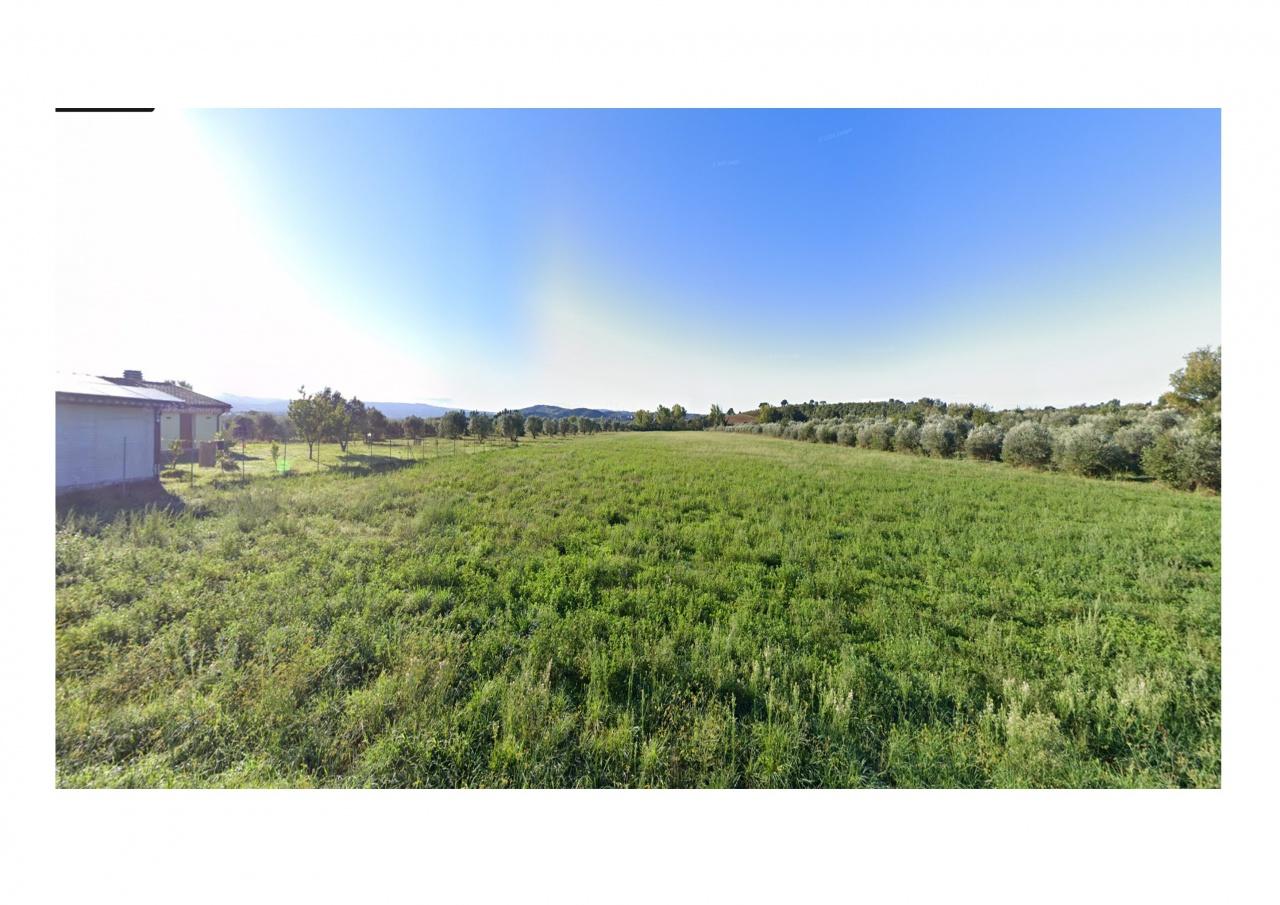 Vendita Altri immobili, Grosseto foto