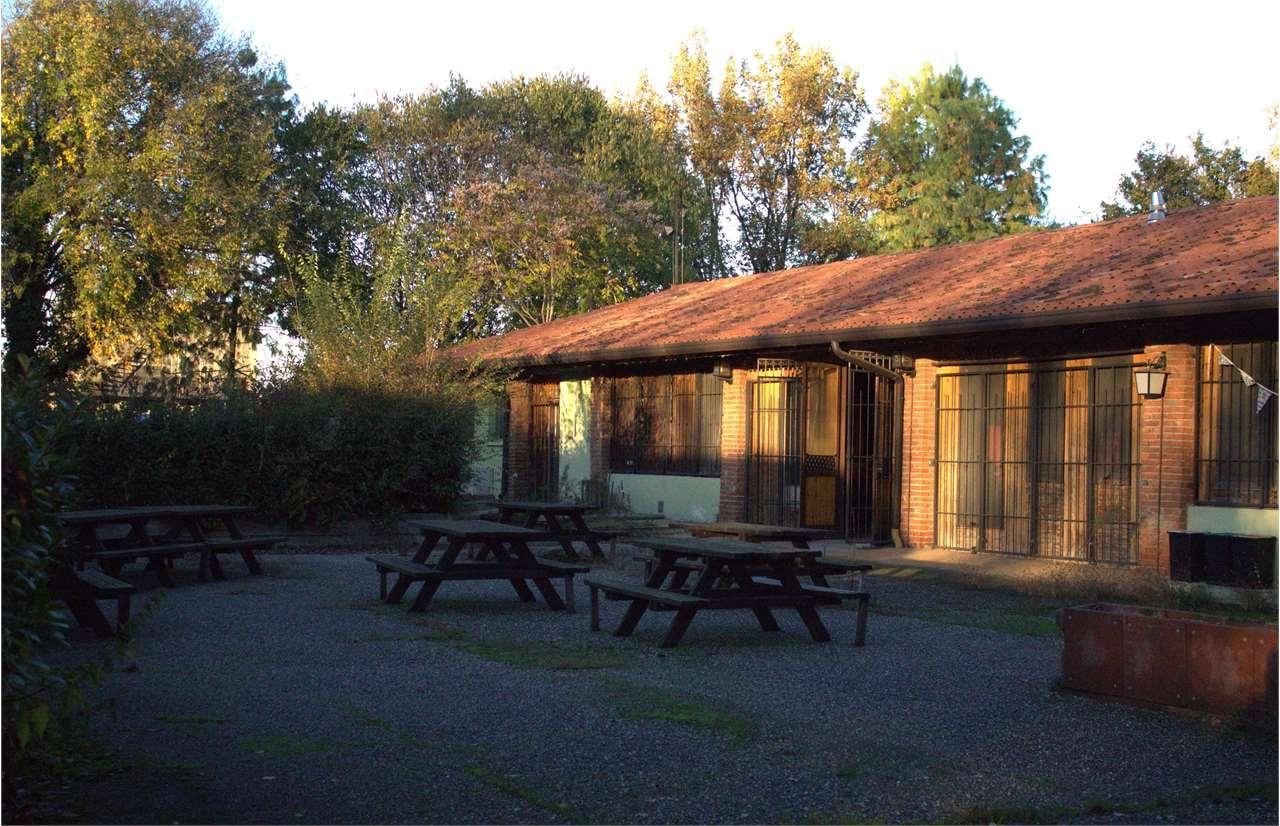 Affitto affitto, Goito foto