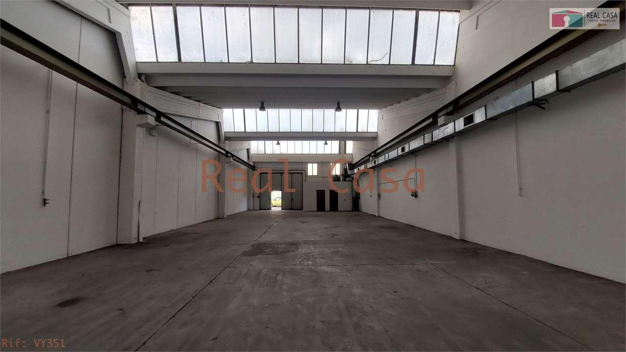 Vendita vendita, Modena foto