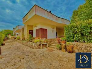 Vendita Pentavani, Pulsano Vendita Pentavani, Pulsano