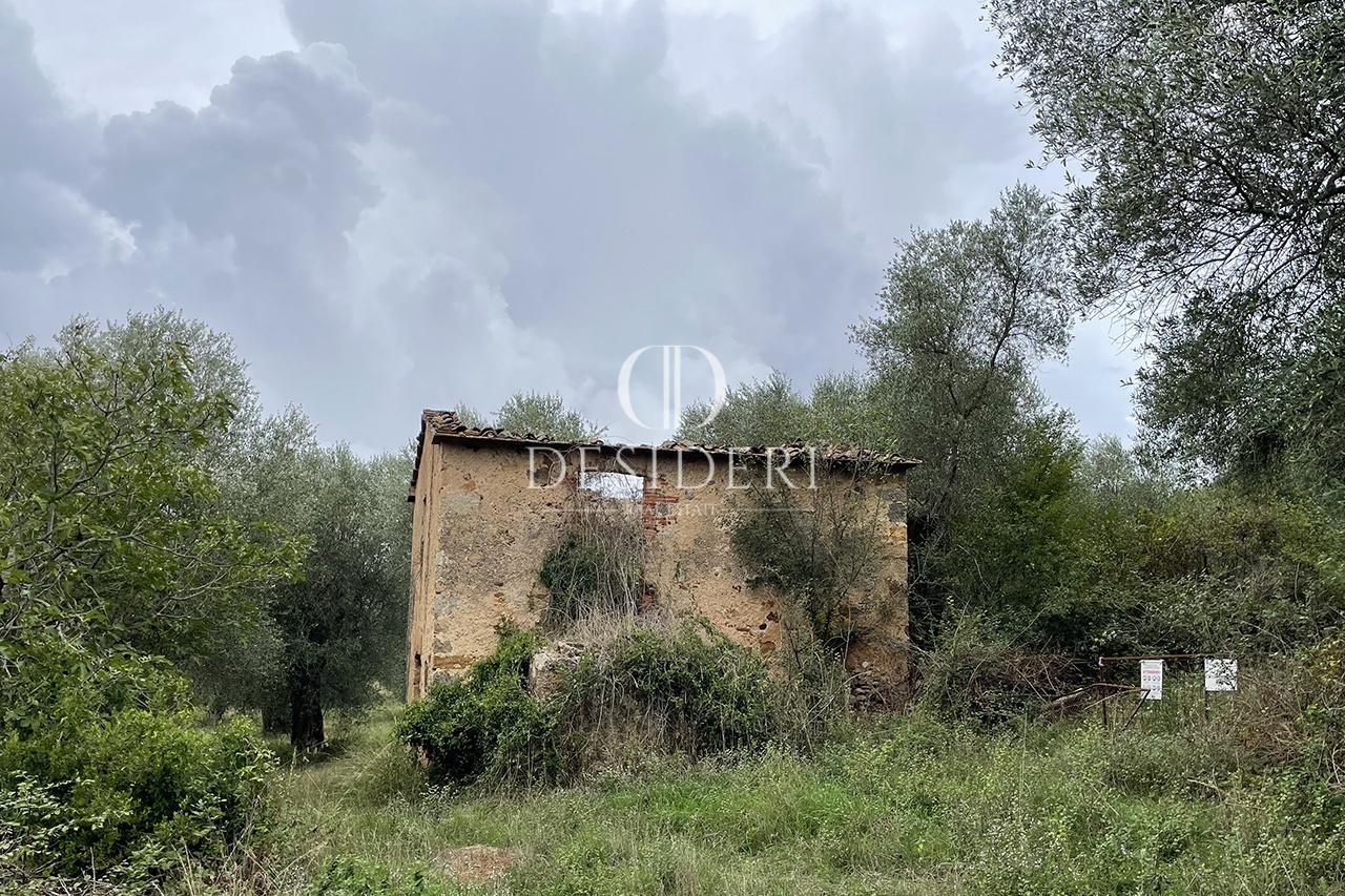 Venta Locales comerciales, Roccastrada foto