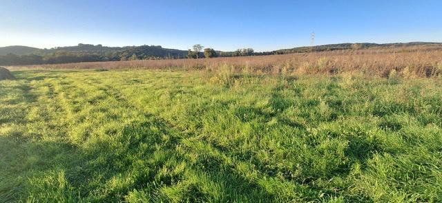 Vendita Altri immobili, Massa Marittima foto