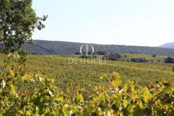 Verkauf Multivani, Magliano in Toscana