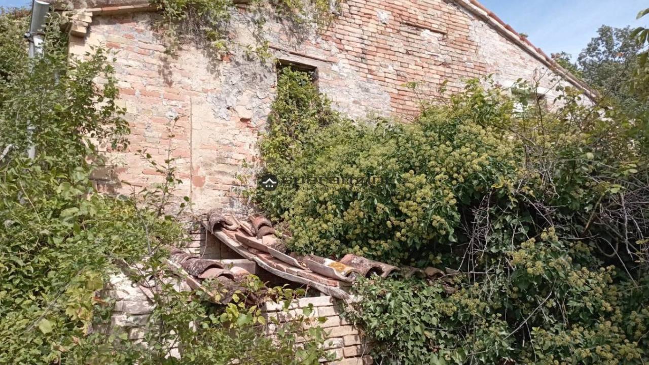 Vendita Trivani, Montefelcino foto