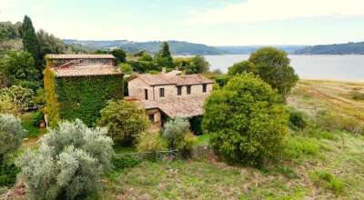 Vendita Multivani, Baschi