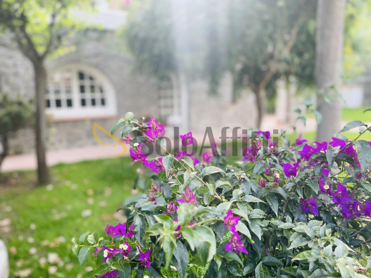 Affitto Pentavani, Ischia foto