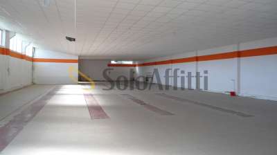 Mieten Trivani, Senigallia