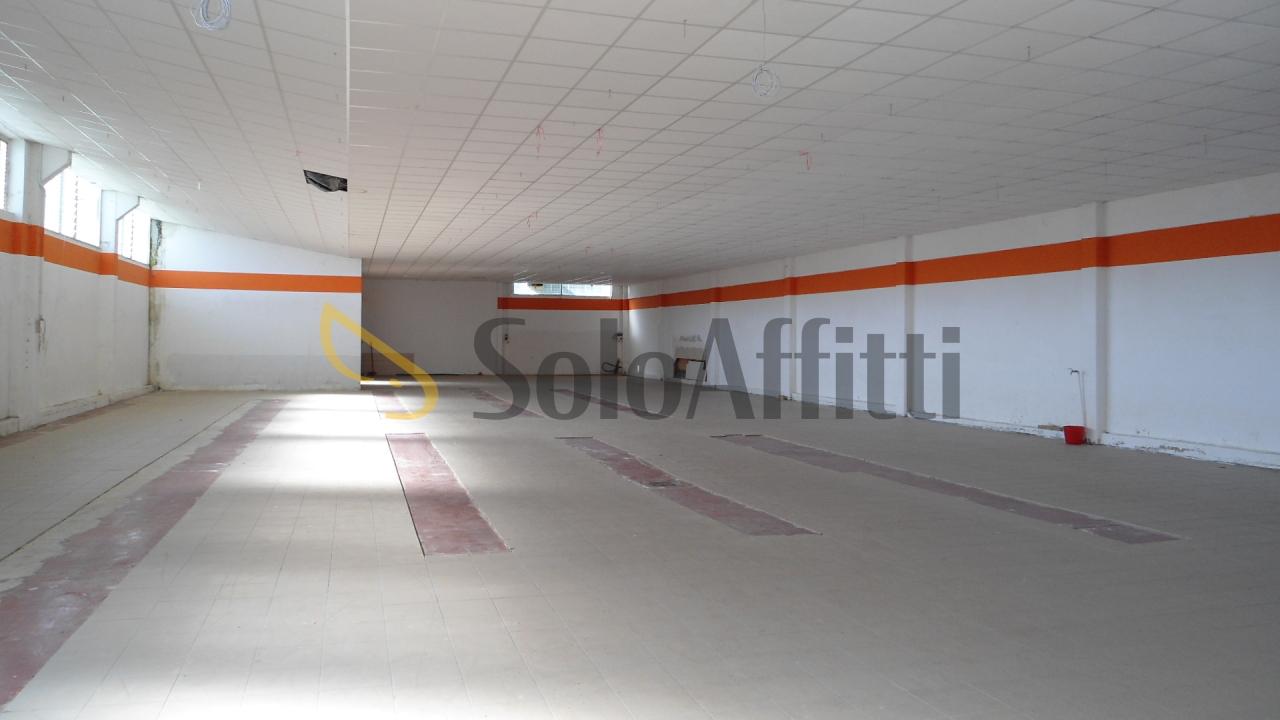 Affitto Trivani, Senigallia foto