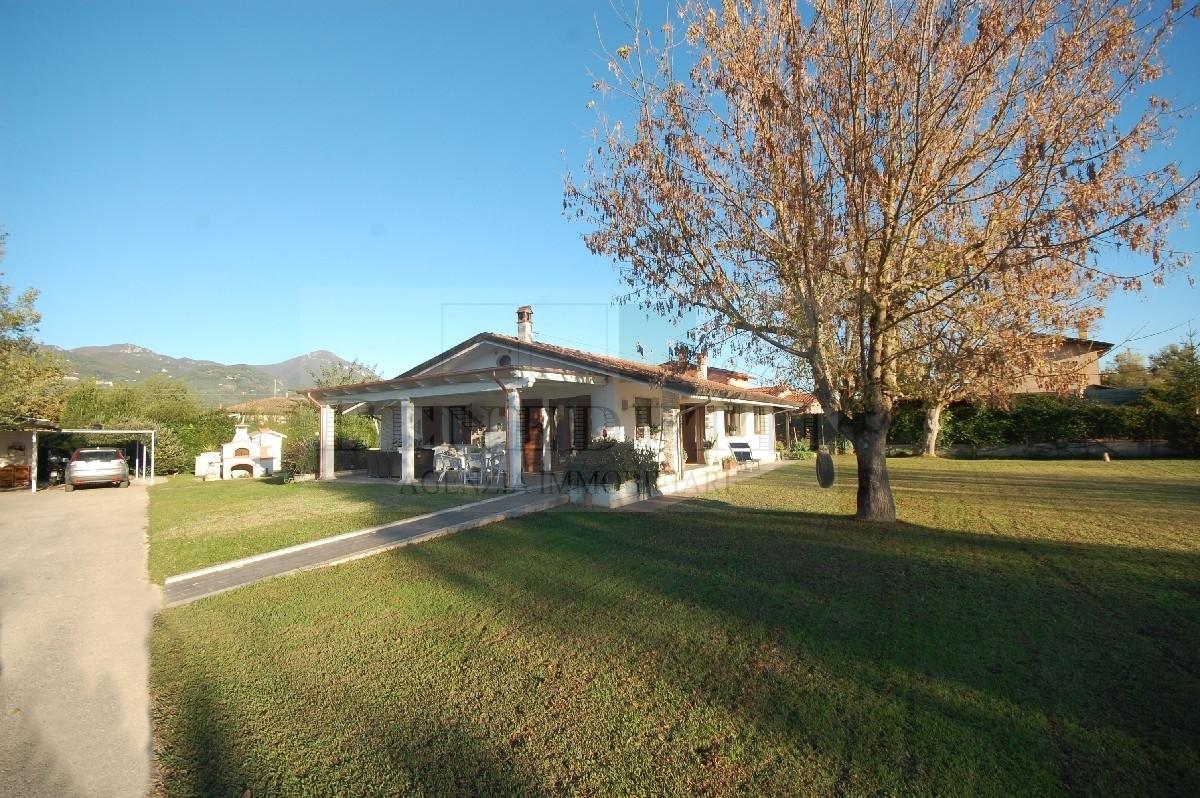 Vendita Multivani, Pietrasanta foto