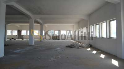 Affitto Multivani, Montemarciano