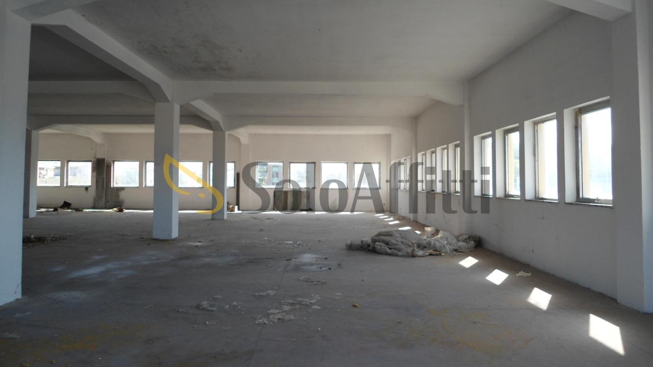 Affitto Multivani, Montemarciano foto