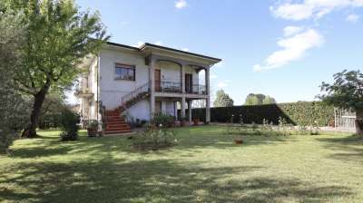 Verkauf Multivani, Lucca