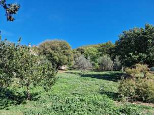 Vendita Terreni, Lugnano in Teverina