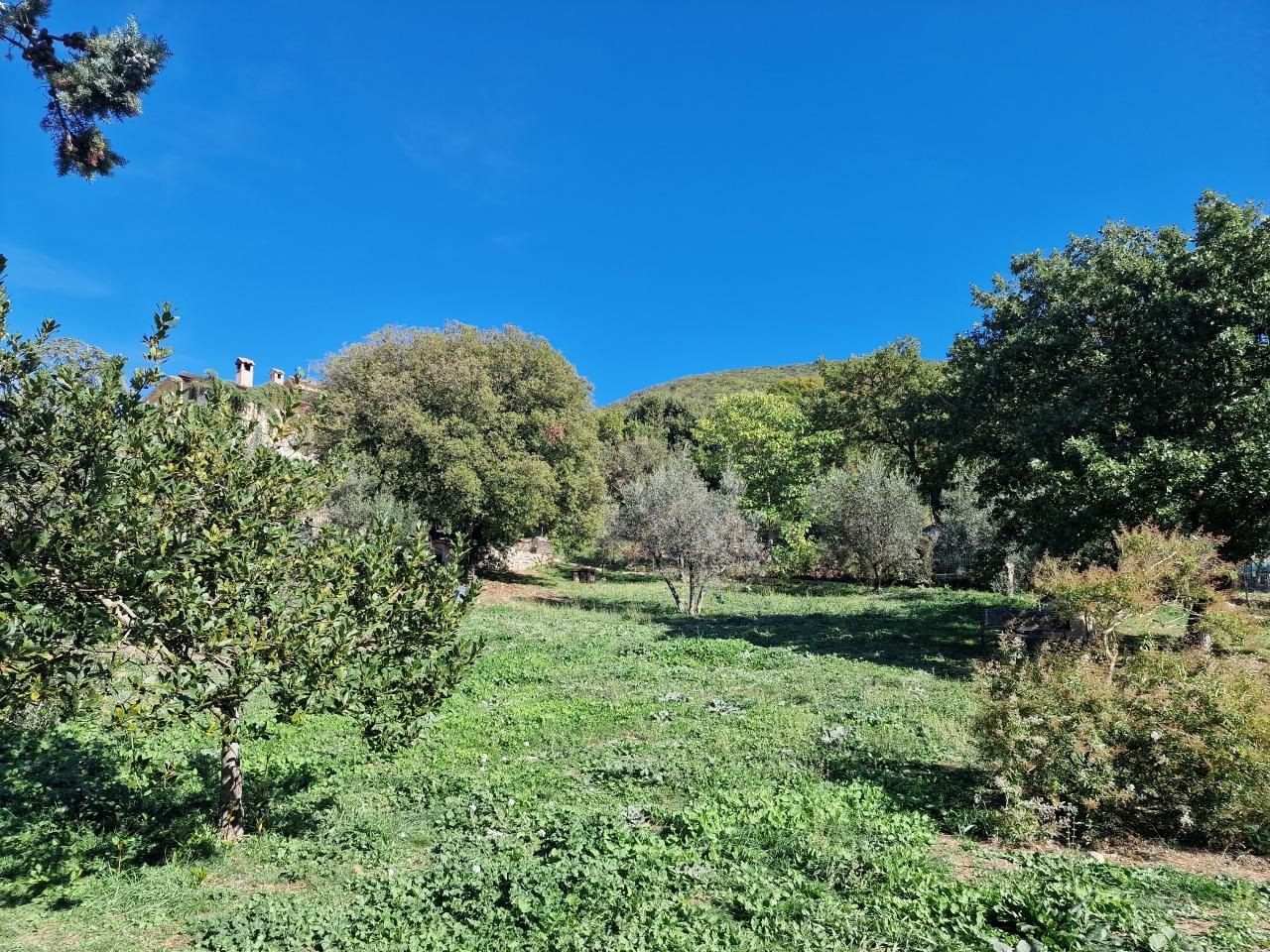 Vendita Terreni, Lugnano in Teverina foto