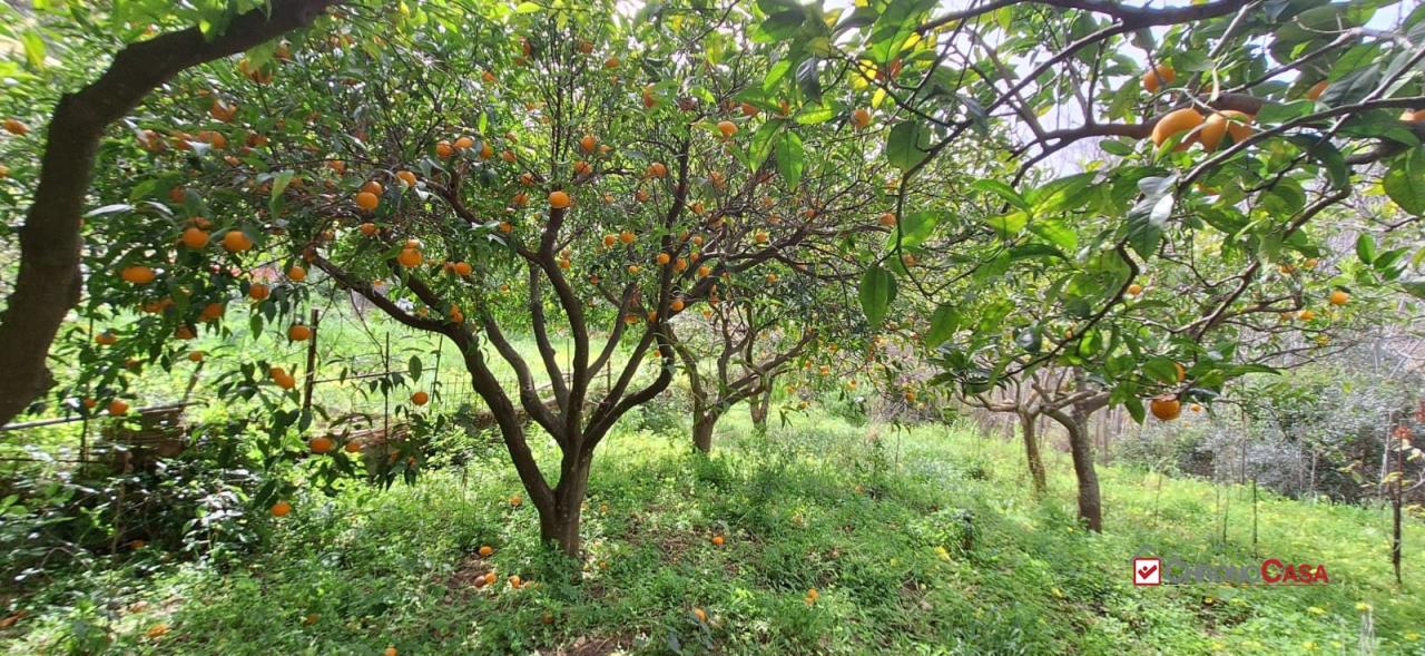 Vendita Loft, mansarde e attici, Rometta foto