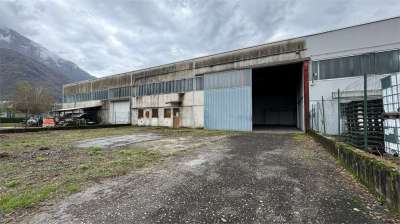 Vendita vendita, Piedimulera