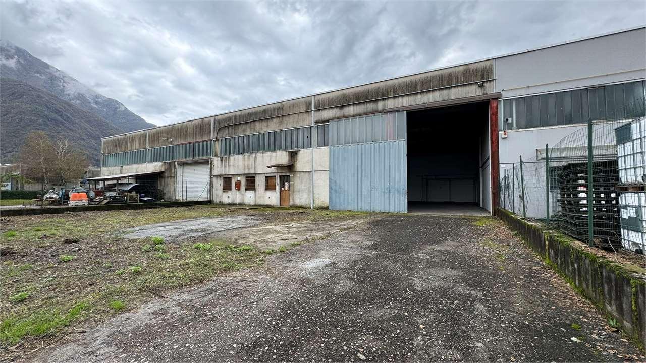 Vendita vendita, Piedimulera foto