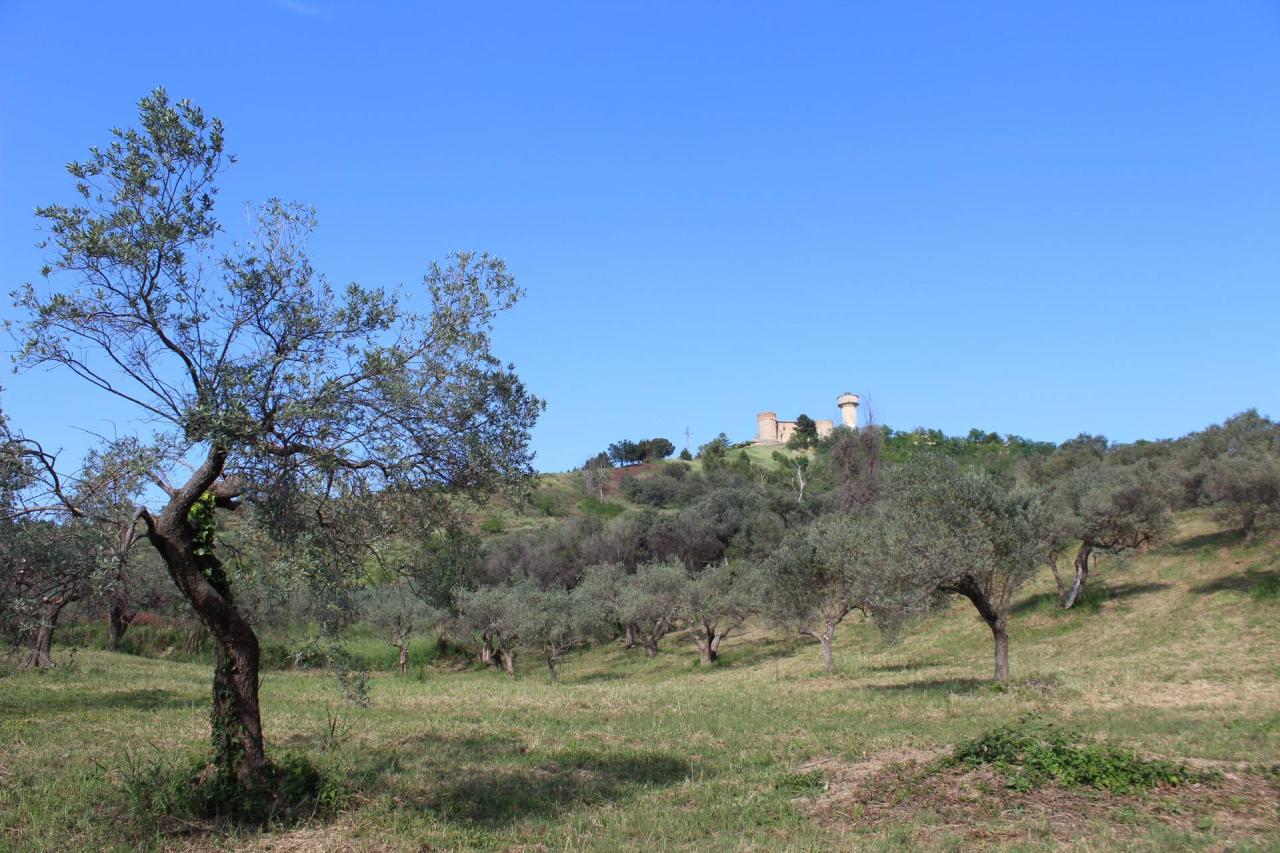 Vendita Terreno, Monteodorisio foto
