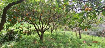 Verkauf Terreno, Rometta Verkauf Terreno, Rometta