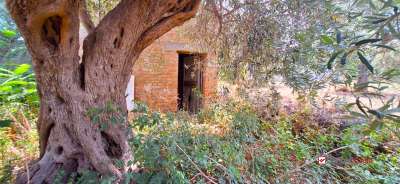 Verkauf Rustico, Messina