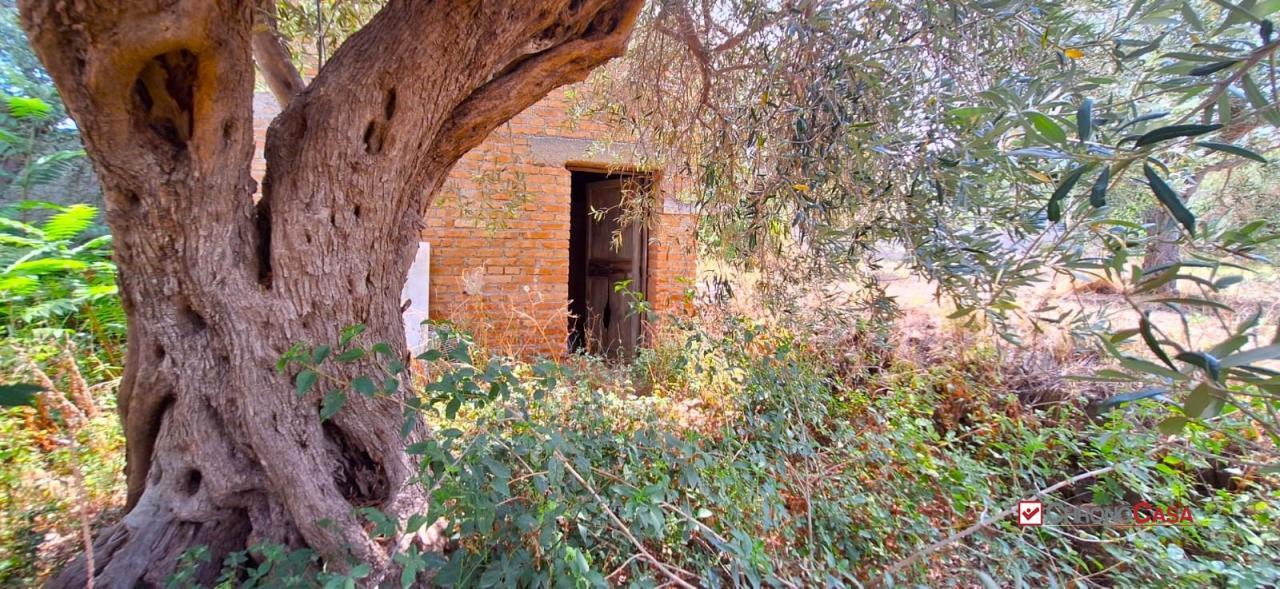 Vendita Rustico, Messina foto