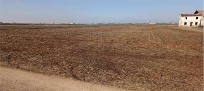 Vendita vendita, Roverbella