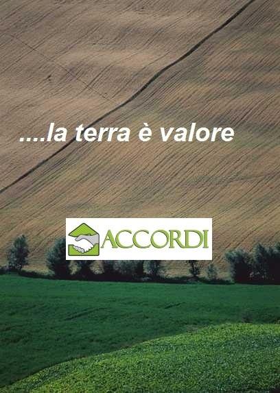 Verkauf Häuser, Montebelluna foto