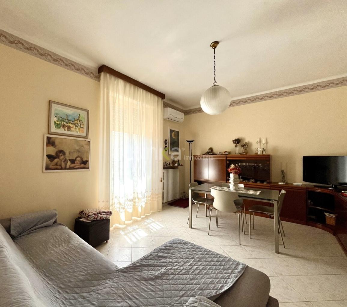 Vendita Quadrivani, Jesi foto