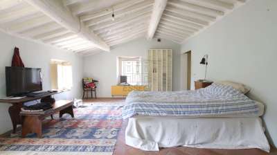 Vendita Multivani, Lucca