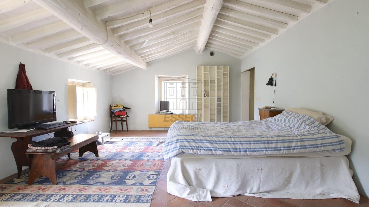 Vendita Multivani, Lucca foto