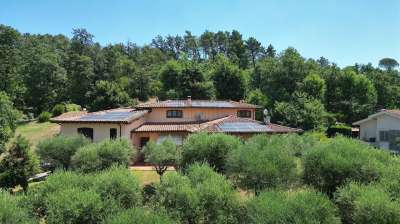 Verkauf Multivani, Lucca