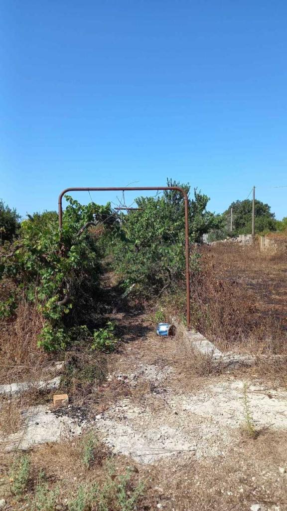 Venta Roomed, Maglie foto