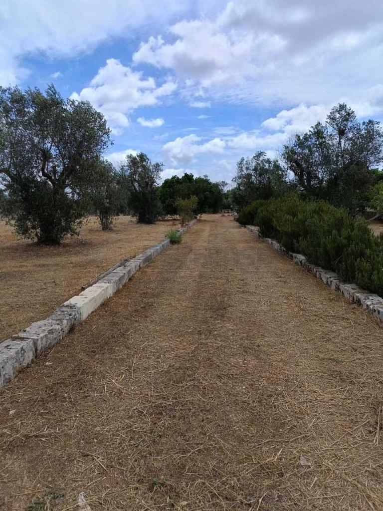 Vendita Terreni, Corigliano d'Otranto foto