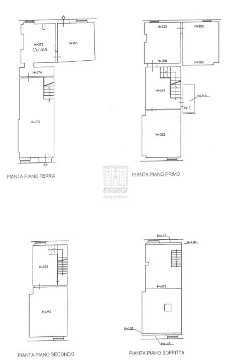 Vendita Multivani, Lucca foto