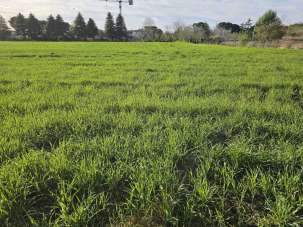 Verkauf Zimmer, Santarcangelo di Romagna
