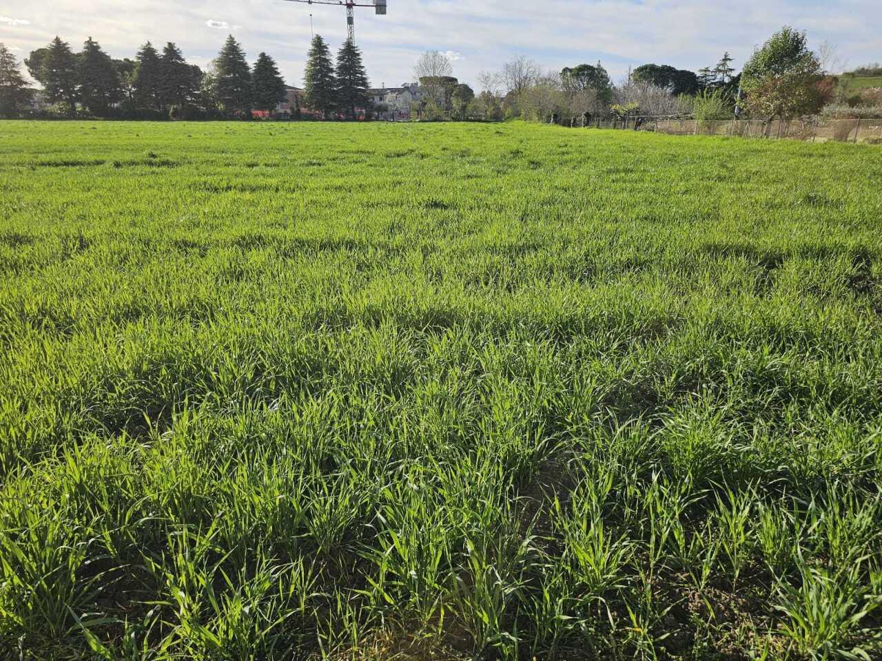 Vendita Monovano, Santarcangelo di Romagna foto