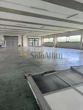 Renta Cuatro habitaciones, Miglianico