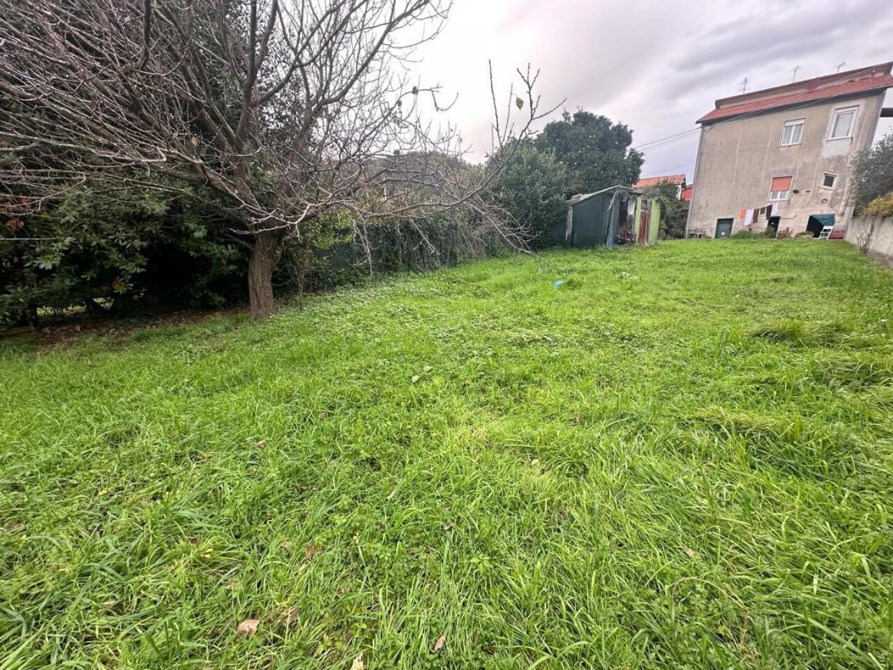 Verkauf Trivani, Arcola foto