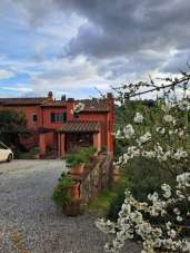 Verkauf Esavani, Buggiano