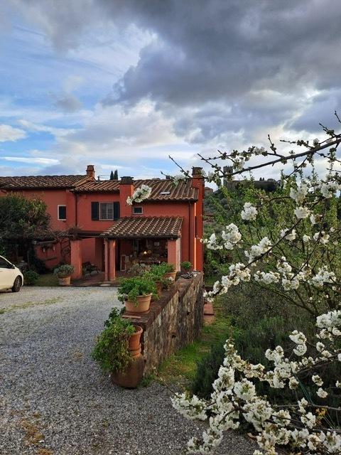 Verkauf Esavani, Buggiano foto