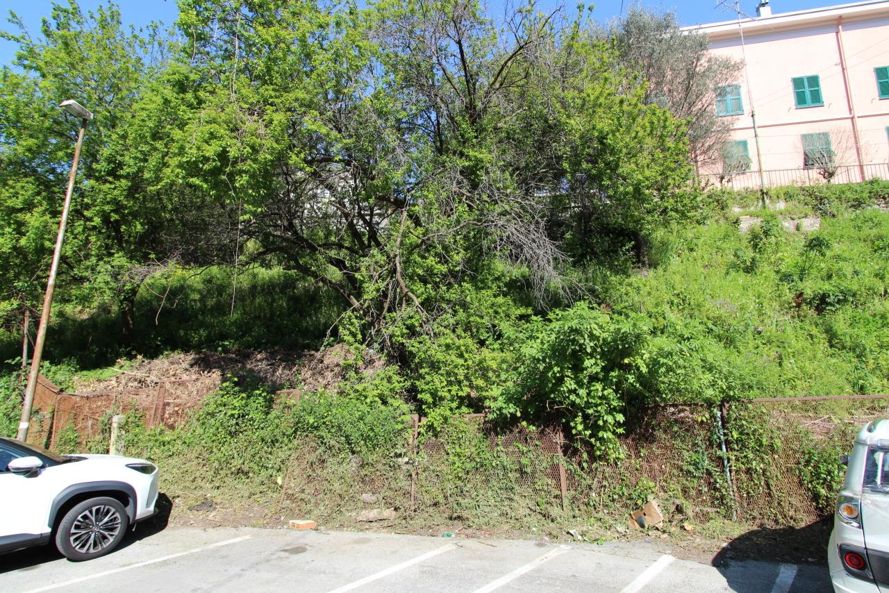 Vendita Terreni, Recco foto