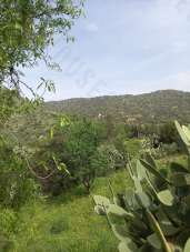 Venta Roomed, Maracalagonis