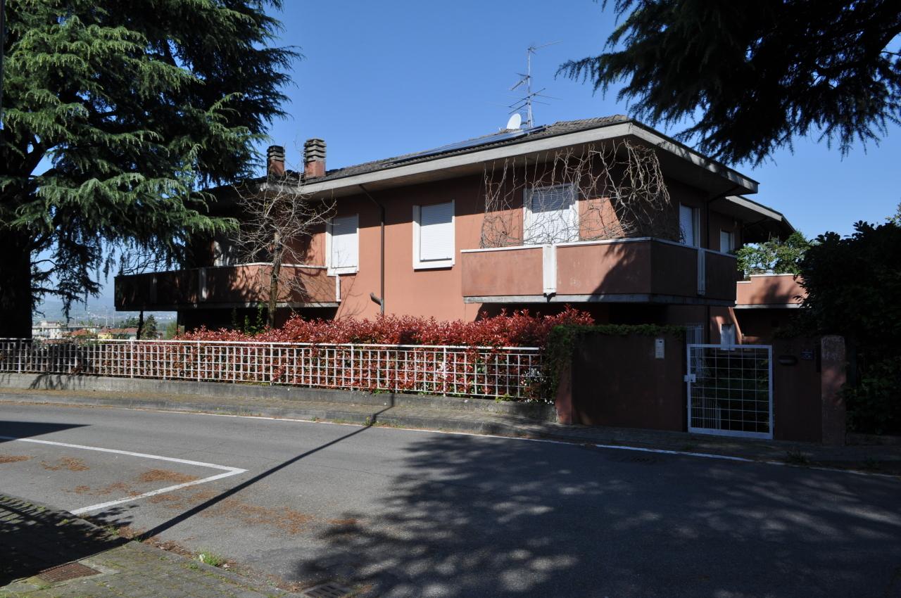 Vendita Trivani, Collecchio foto