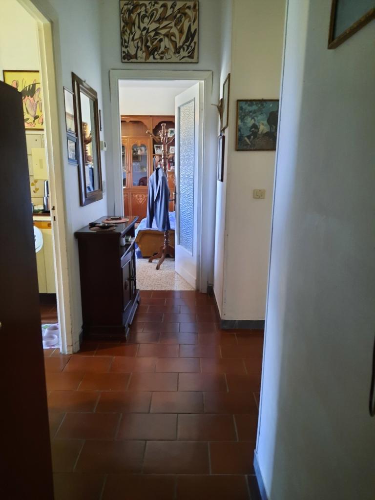 Vendita Pentavani, Ameglia foto