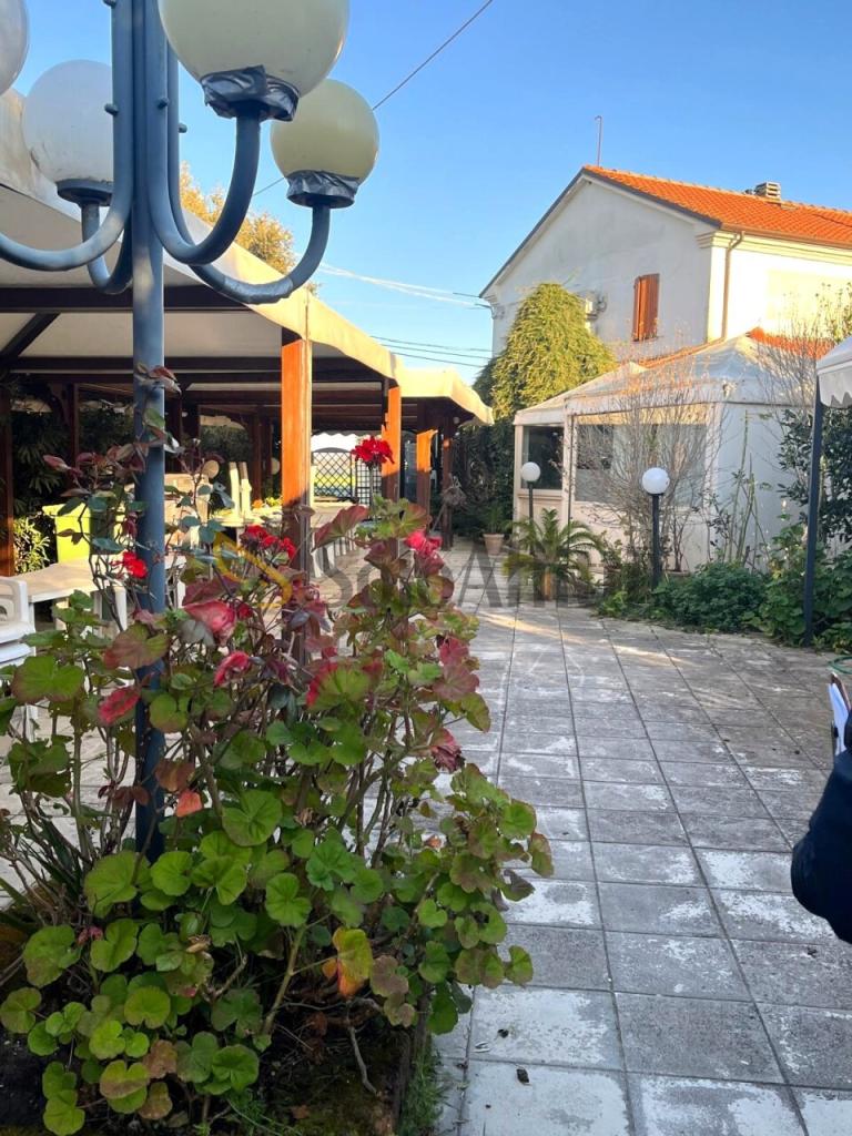 Affitto Multivani, Senigallia foto