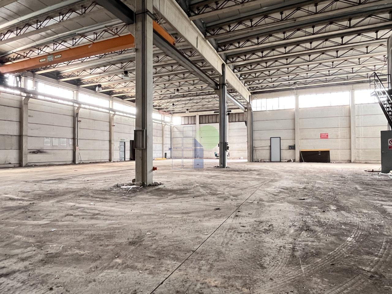 Vendita D, Livorno foto