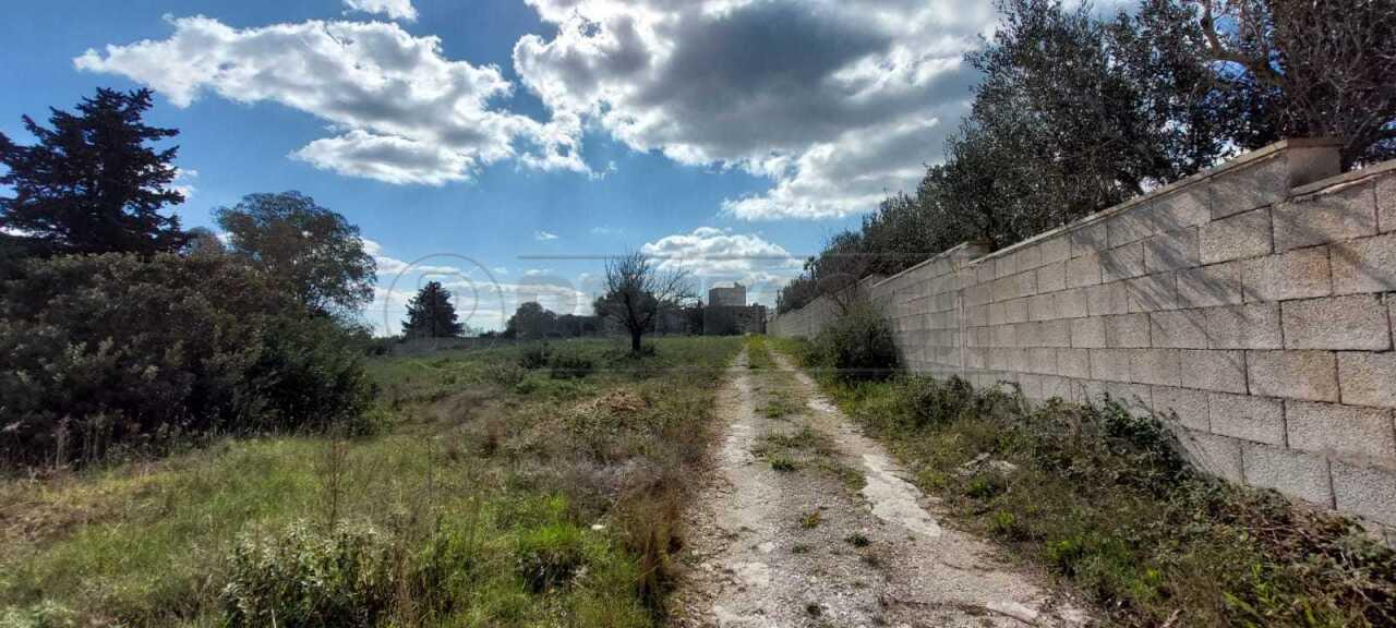 Vendita Pentavani, Maglie foto